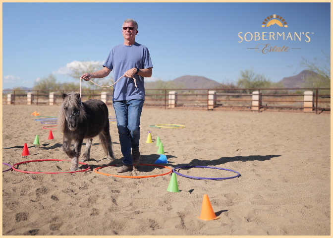 When the Horse Walks With You: A Powerful Moment in Recovery
