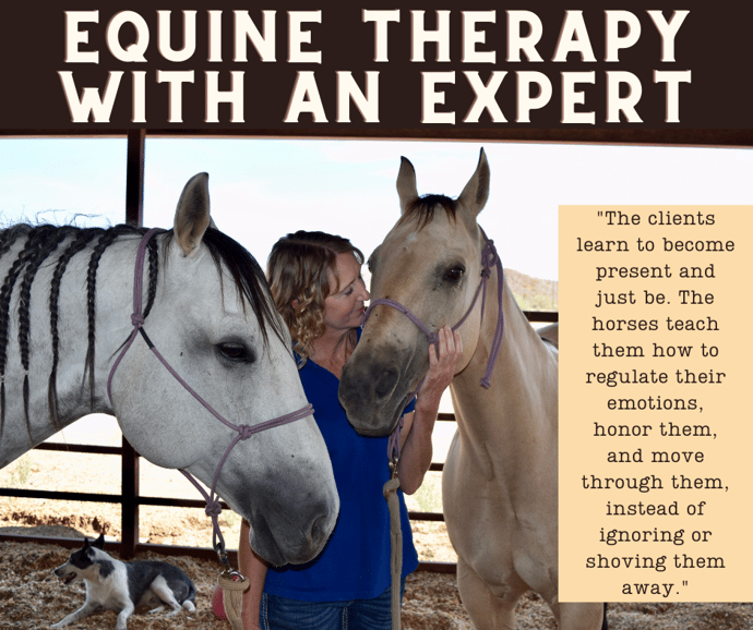 Equine Therapy with an Expert
