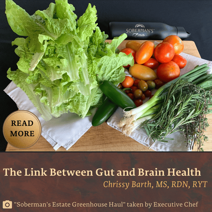 The Link Between Gut and Brain Health