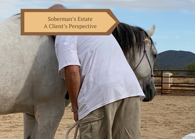 Soberman's Estate: A Client's Review