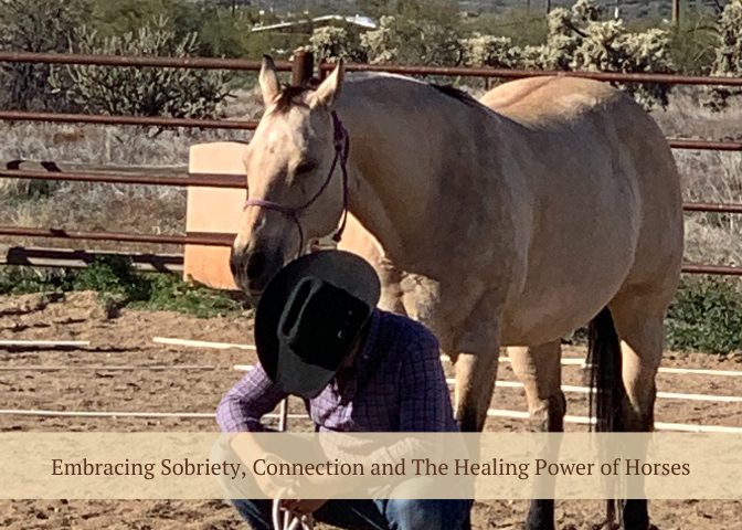 Embracing Sobriety, Connection, and the Healing Power of Horses